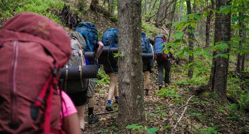 一群人穿着背包徒步远离相机通过茂密的森林区域。