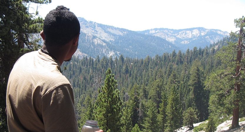 一个人面临远离相机和在山上望vista常绿树木覆盖