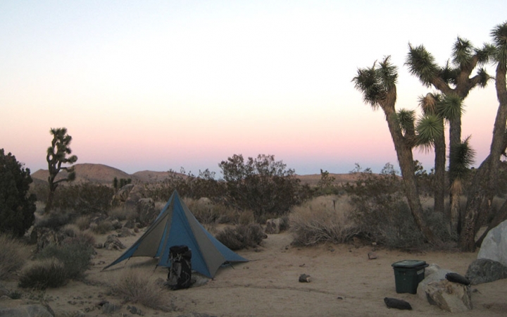 沙漠露营的成年人在约书亚树